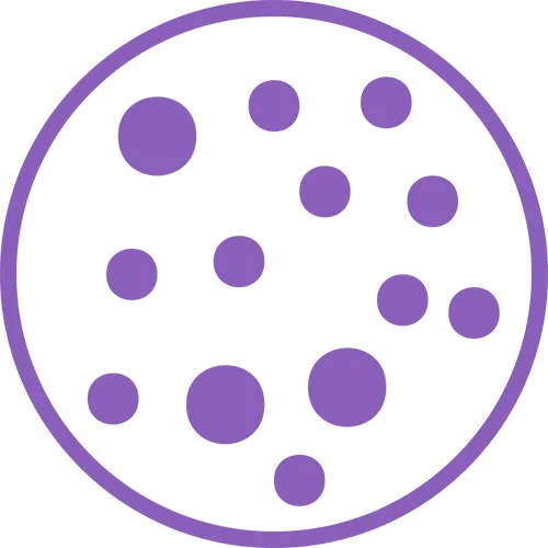 Pores and Congestion